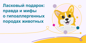Превью статьи