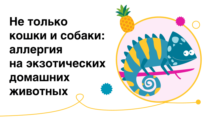 Превью статьи