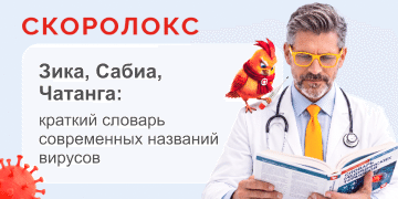 Превью статьи