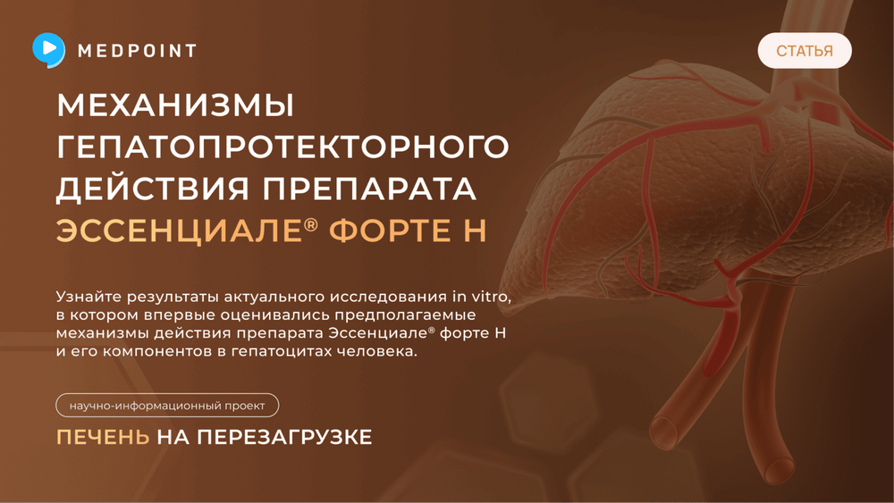 Превью содержания