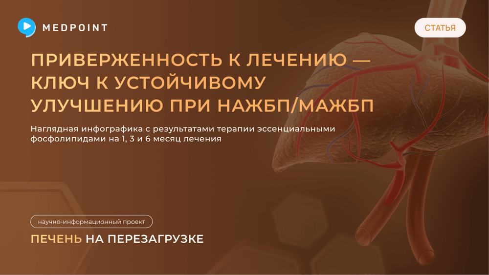 Превью содержания