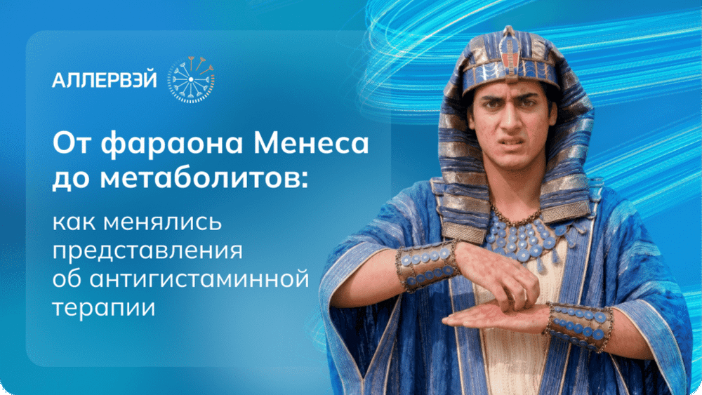 Превью содержания