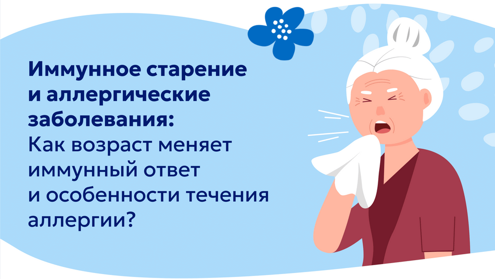 Превью содержания