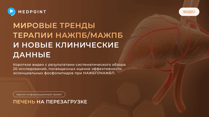 Превью содержания