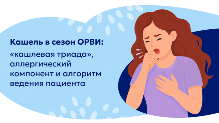Превью содержания