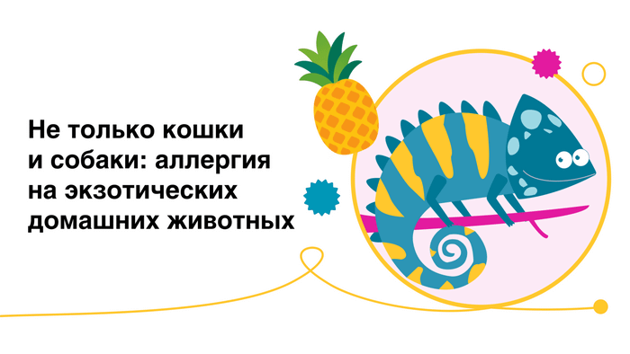 Превью содержания