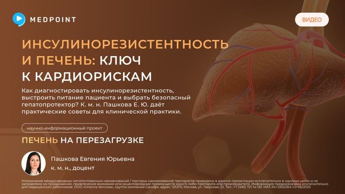 Превью содержания