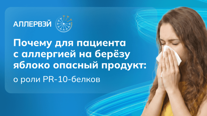 Превью содержания