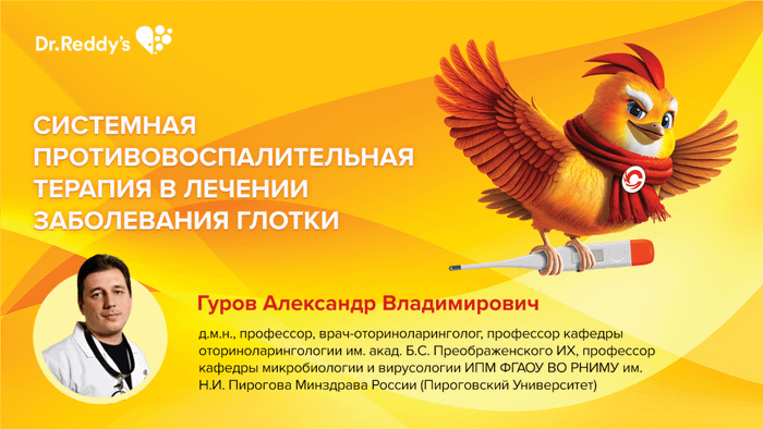 Превью содержания