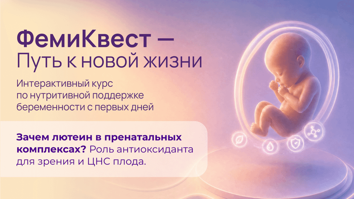 Превью содержания