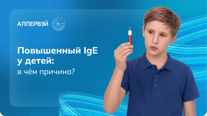Превью содержания