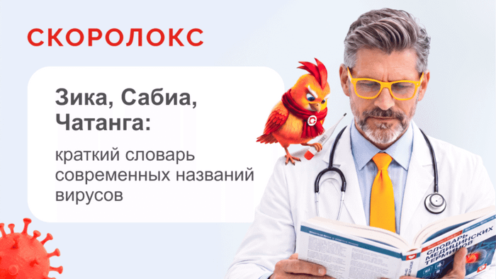 Превью содержания