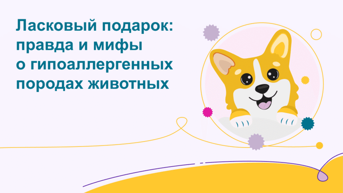 Превью содержания