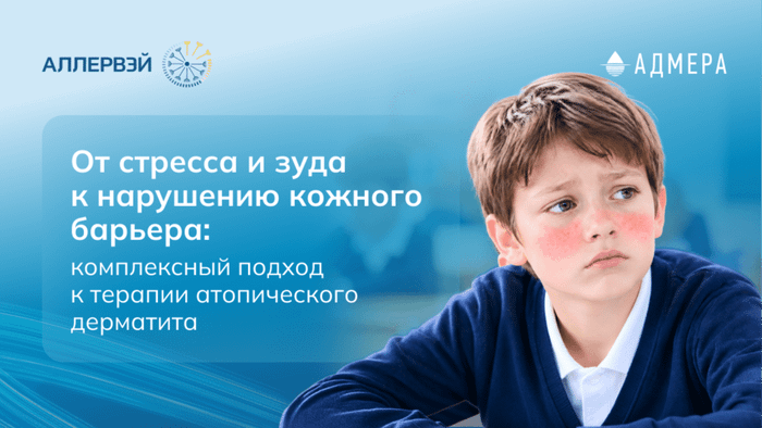 Превью содержания