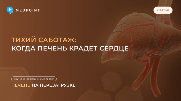 Превью содержания