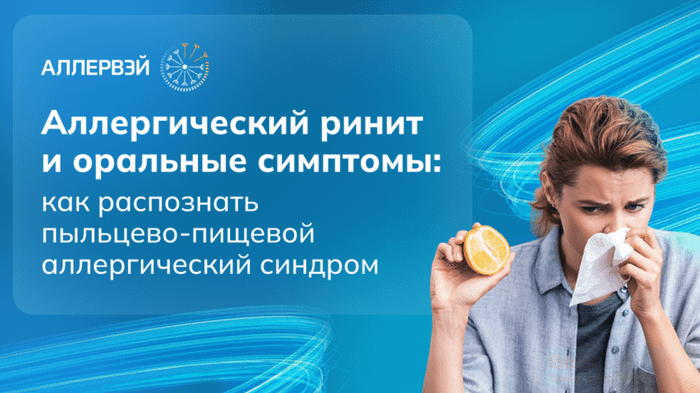 Превью содержания