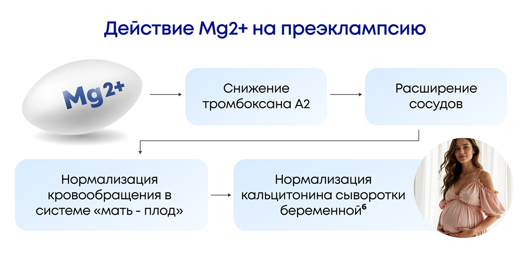 Дейтвие Mg2+