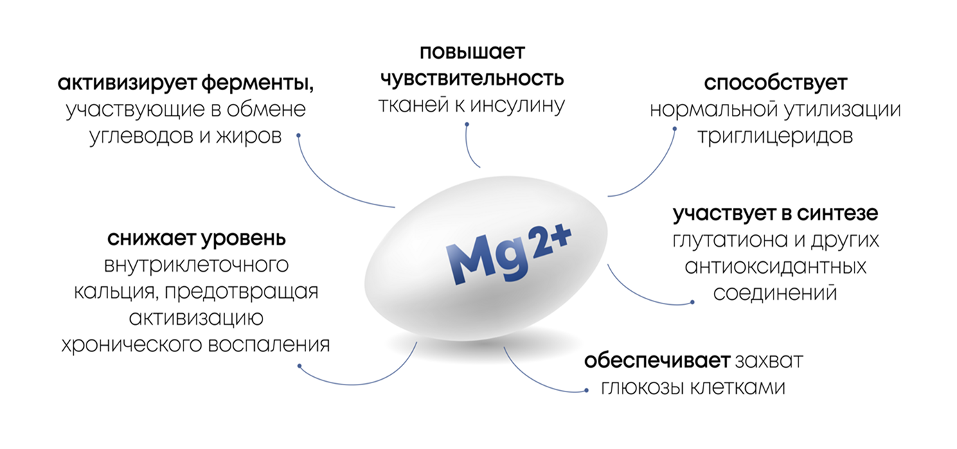 Метаболическая роль магния